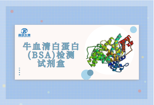 睿信生物―牛血清白蛋白（BSA）定量检测试剂盒（ELISA）