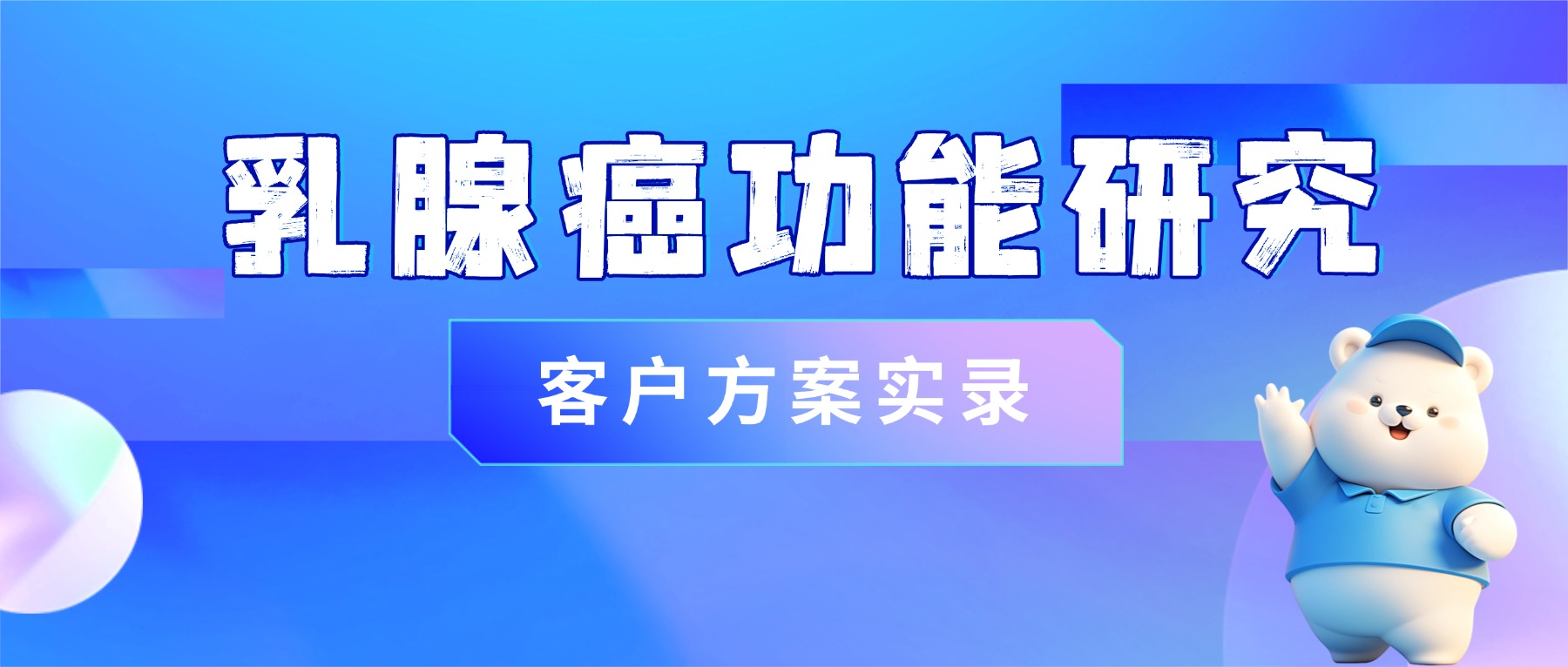 ��˾����