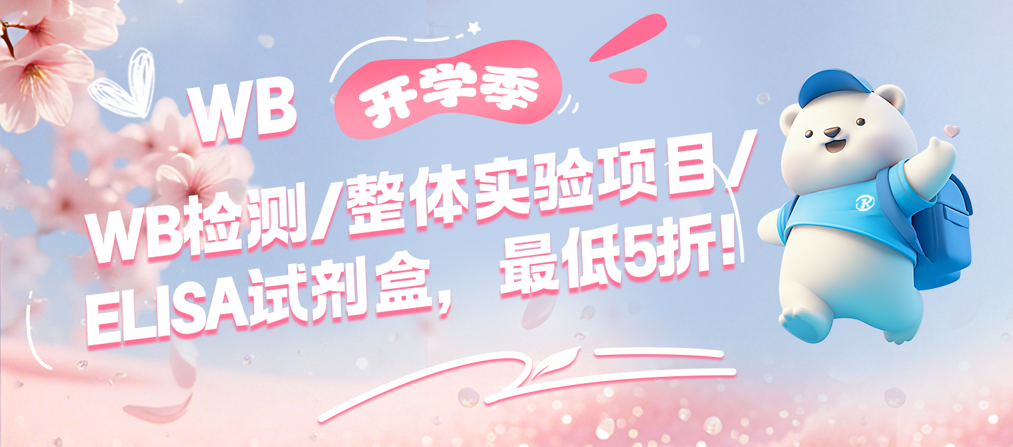 ��ѧ������3�ظ�����WB���/����ʵ����Ŀ/ELISA�Լ��У����5�ۣ�