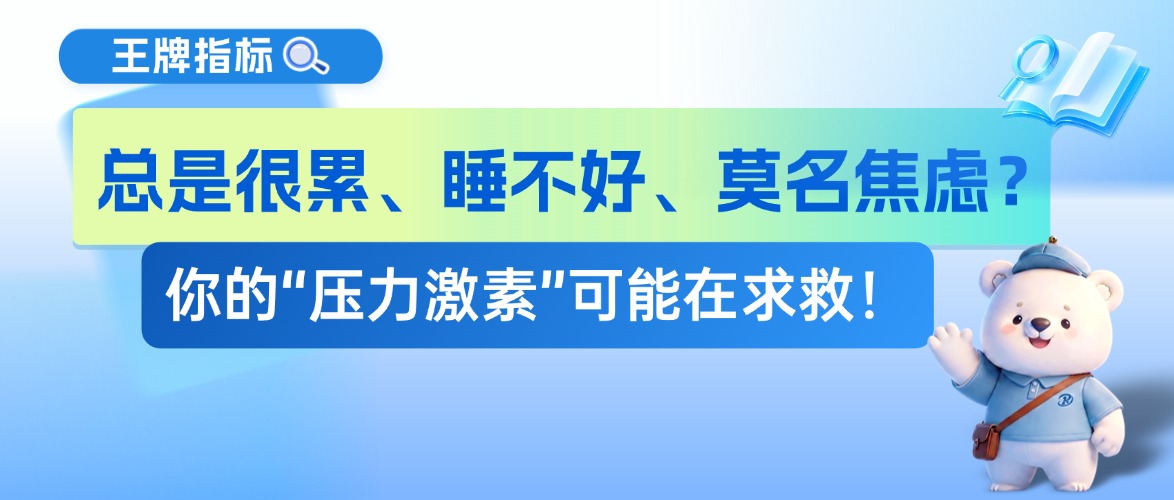 ���Ǻ��ۡ�˯���á�Ī�����ǣ���ġ�ѹ�����ء����������